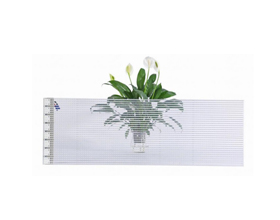 LED Flexible Film Screen